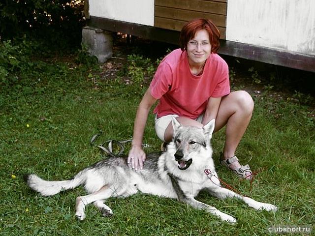 48338_15812.jpg